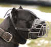 Cane Corso Hundemaulkorbe