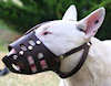 English bull terrier leder hundemaulkorb