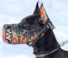 Doberman Pinscher Hundemaulkorb