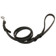 Leather Dog Lead for Medium Dogs Walking