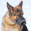 German Shepherd maulkorb leder
