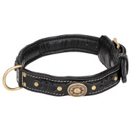 Exclusive Handmade Braided Leather Collar, Padding and Decor