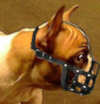 French Bulldog hundemaulkorn