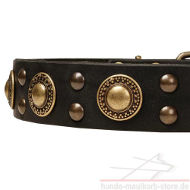 Leather Collar with Cosmic Design, Gold Brass