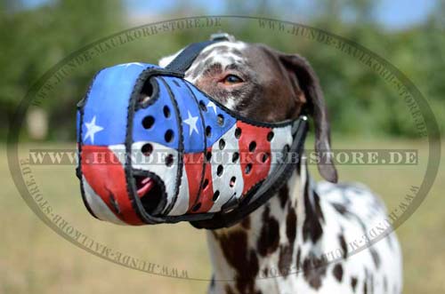 Hundemaulkorb Leder für Dalmatiner | Beißkorb Design ❺