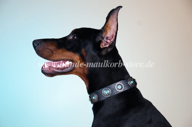 Halsband Leder mit blauen Steinen | Dobermann Halsband 2020 ❁