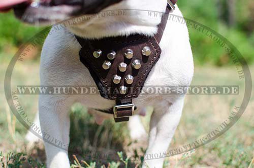 Design Leder Hundegeschirr für Französische Bulldogge H24