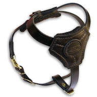 Leather walking dog harness for puppys and small breeds