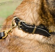 Leather Dog Collar for Belgian Malinois with Brass Plates