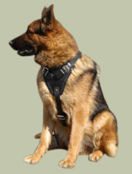 Agitation Leather Dog Harness for German Shepherd