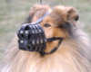 Collie Hundemaulkorb