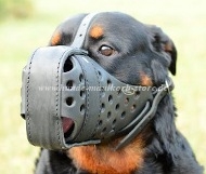 Leather Dog Muzzle "Dondi plus" for Rottweiler