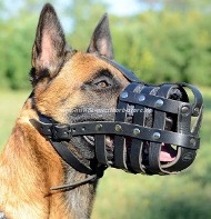 Leather Dog Muzzle for Malinois, Muzzle with Best Ventilation