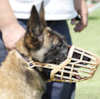 Belgian Malinois Hundemaulkorb