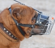 Wire Dog Muzzle for Shar Pei | Best Cage Muzzle for Sharpei