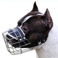 Best Wire dog muzzle for Pitbull