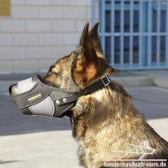 Muzzle for Malinois of Leather with Nylon