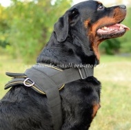 Rottweiler Harness of Nylon | Tracking Harness Super Durable!