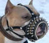 American Pit Bull Terrier Hundemaulkorbe