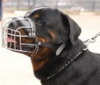 Rottweiler Drahtmaulkorb