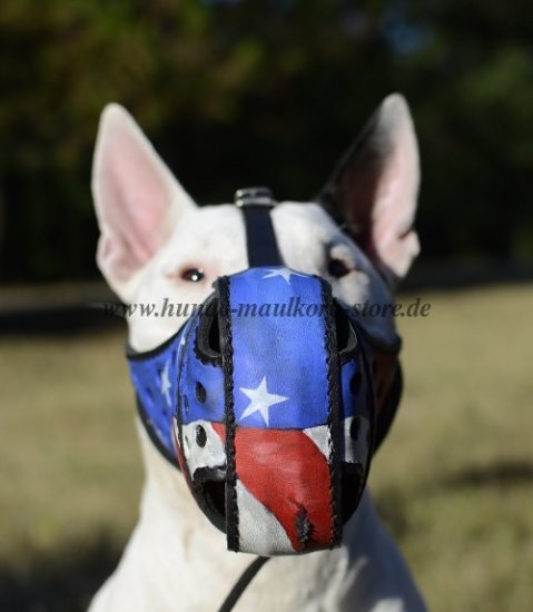 Leder Maulkorb für Bullterrier, Hundemaulkorb USA Design