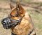 Muzzle for German Shepherd, Leather Dog Muzzle Padded