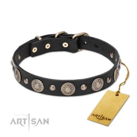 Leather Collar with the Mix of big and small Studs