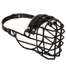 Wire Basket Muzzle for Winter for mix breed