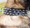 Hunde Lederhalsband mit Spikes Breites Design ❊