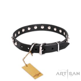 Glanzvolles Hundehalsband aus Leder mit silbrigen Nieten