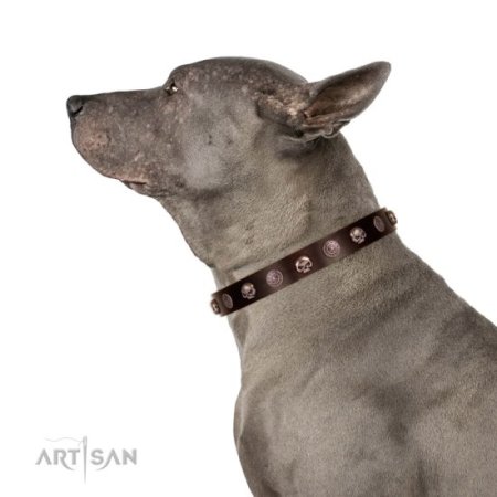 Hundehalsband Totenkopf im Braun