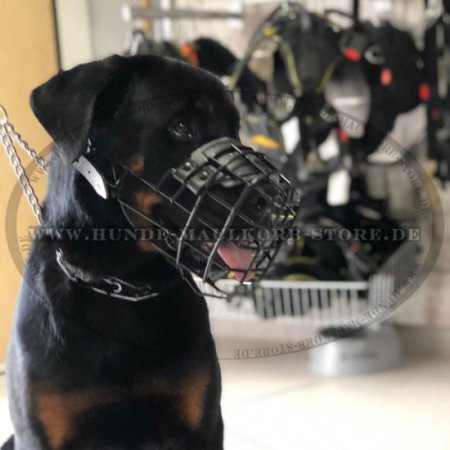 Basket Dog Muzzle, covered by black rubber for Rottweiler