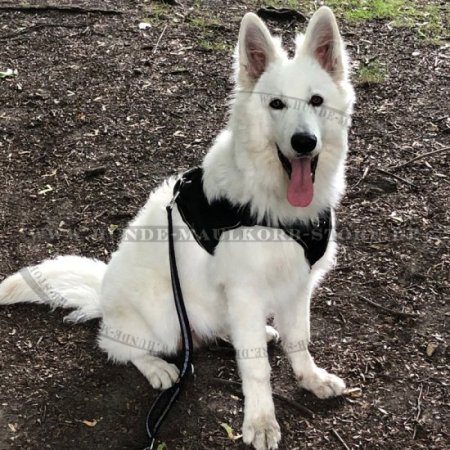 K9 Dog Harness Nylon | Sport Harness for All Dog Breeds