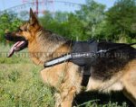 Deutscher Schäferhund Nylon Geschirr k9