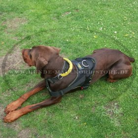 Beliebtestes Diensthundegeschirr aus Nylon für Dobermann