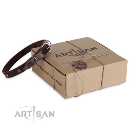 Hundehalsband aus Leder mit Nieten Design, braun