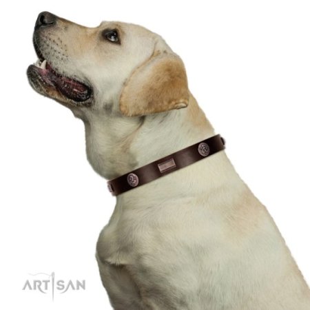 Keltisches Hundehalsband aus Leder, 2,5 cm