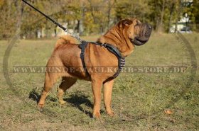 Exklusives Brustgeschirr aus starkem Leder mit Spikes Dekor