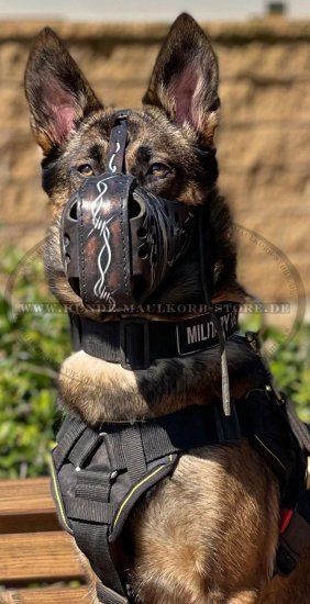 Maulkorb Leder für Malinois | Designer Beißkorb für Angriff