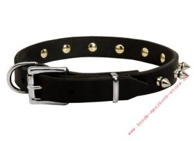 Feines Lederhalsband mit Spikes für Französiche Bulldogge