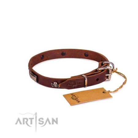 Hundehalsband aus Leder mit Piraten Nieten