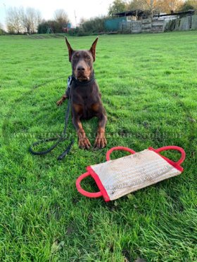 Jute Beißwulst Top Qualität für Dobermann