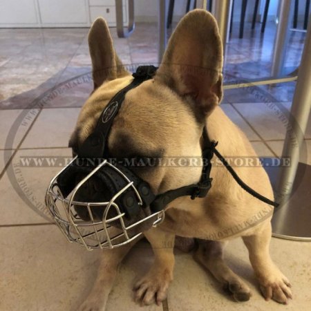 Wire Basket Dog Muzzle for French Bulldog