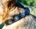 Blaue Steine Dekor am Deutscher Schäferhund Halsband