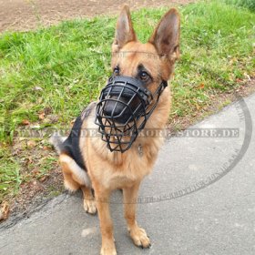 Drahtmaulkorb für Schäferhund mit schwarzem Gummi bedeckt, Bestseller