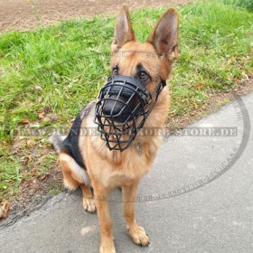 German Shepherd Wire Basket Dog Muzzle, Covered by Black Rubber