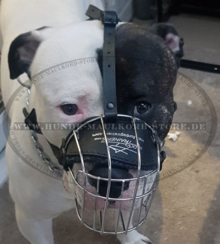 Wire Basket Dog Muzzle for American Bulldog