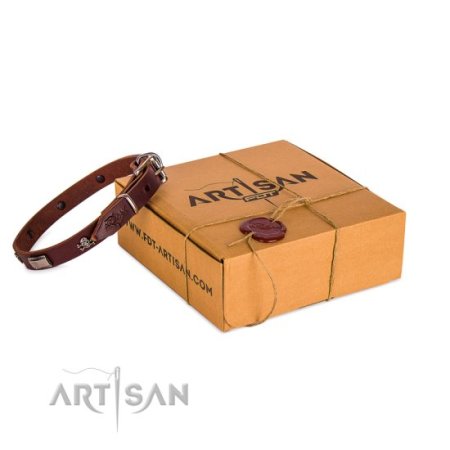 Hundehalsband aus Leder mit Piraten Nieten
