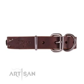 Exklusives Hundehalsband mit Sternen und Platten aus Nickel