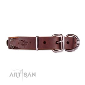 Keltisches Hundehalsband aus Leder, 2,5 cm